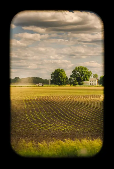 Katie Edwards Farmland in Kansas