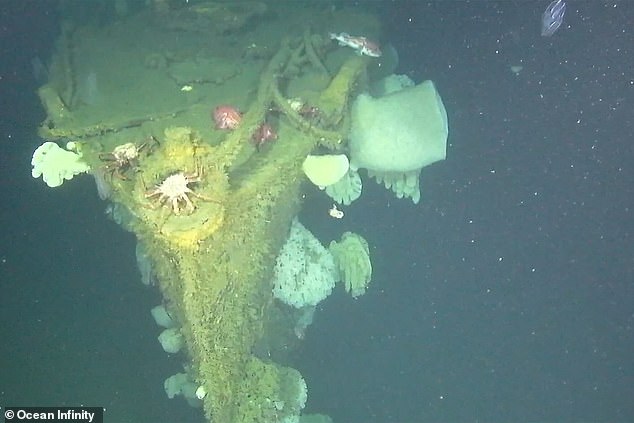 The wreck of the DD-224 was said to be found in almost perfect condition, potentially making it one of the first of its kind to be so well preserved