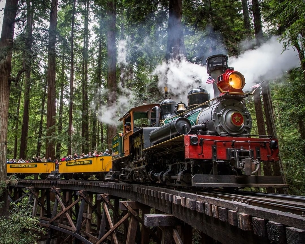 The Roaring Camp steam train rolls through a redwood forest.