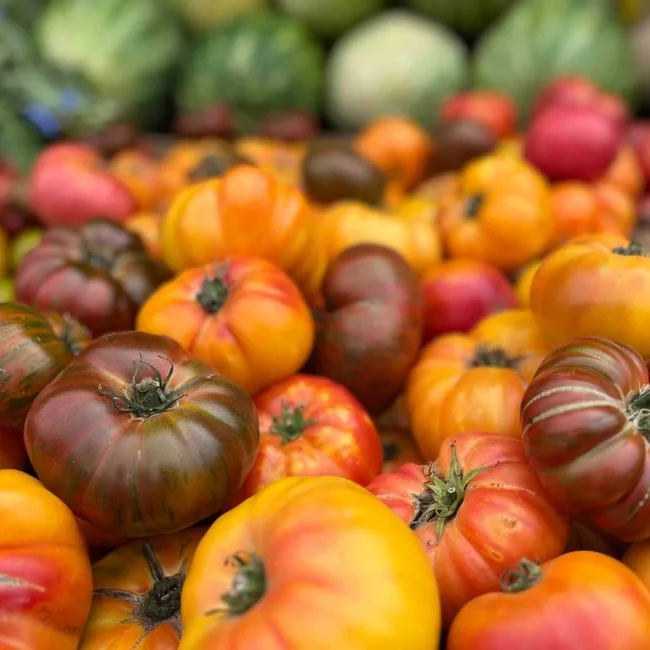 fort mason farmers markets