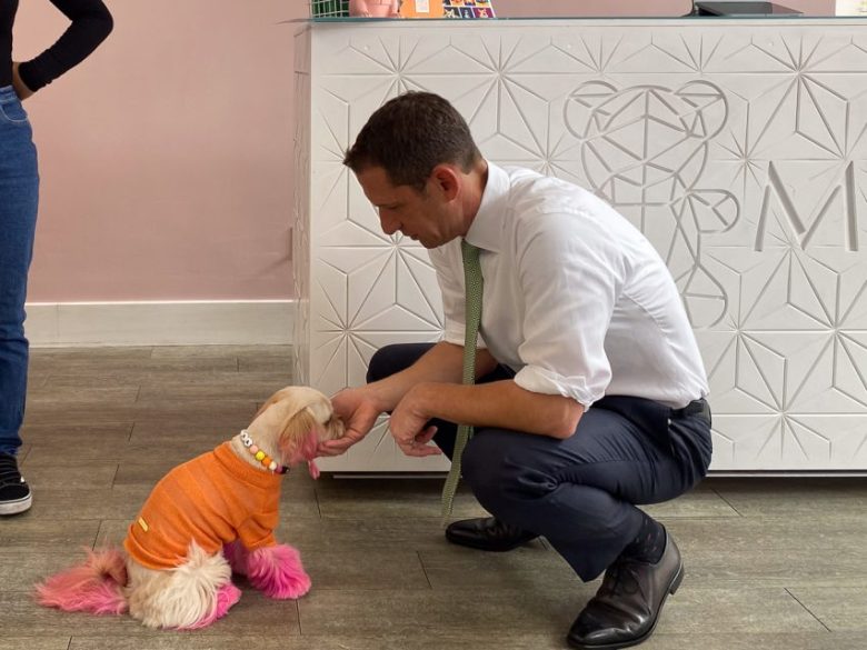 A man in business attire kneels down to greet a small dog wearing an orange sweater with pink fur on its paws. Another person stands nearby. They are in a modern, stylishly decorated room.