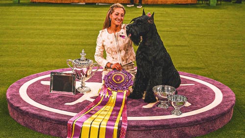 NEXT Trending Image: 2025 Westminster Kennel Club Dog Show: Best in Show, group winners, more