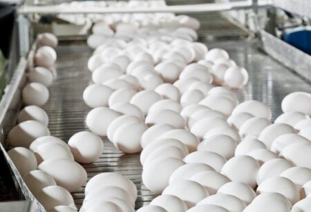 Egg Supplier Relocates U.S. Headquarters from San Francisco to Rogers Egg supplier moves U.S. headquarters from San Francisco to Rogers – Talk Business & Politics