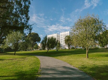 Police storm San Francisco’s Jefferson Square Park – dubbed “Zombie Park” – in large-scale drug bust – CBS News