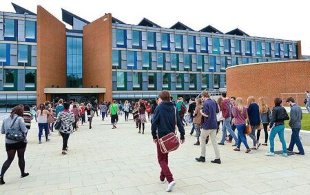 Is This The Best MBA For Sustainable Business In The USA? – Business Because