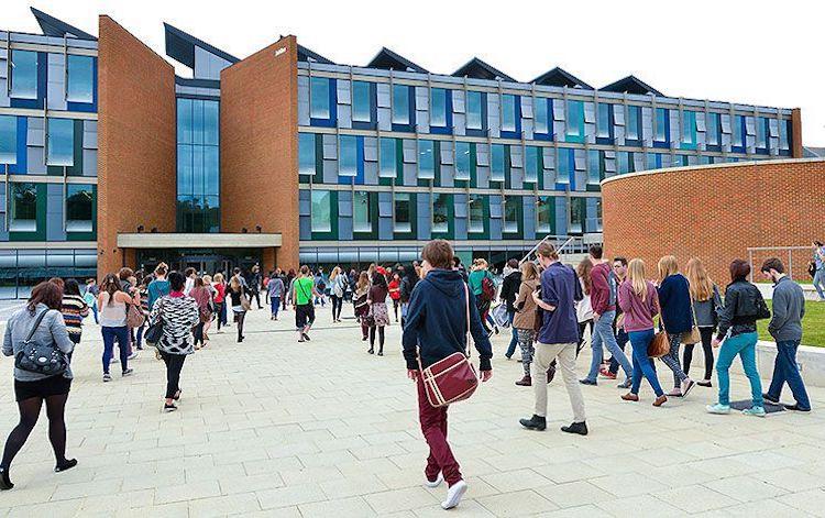 Is This The Best MBA For Sustainable Business In The USA? – Business Because