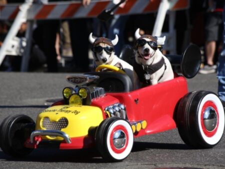 20 Unique Festivals and Events in California – Visit California