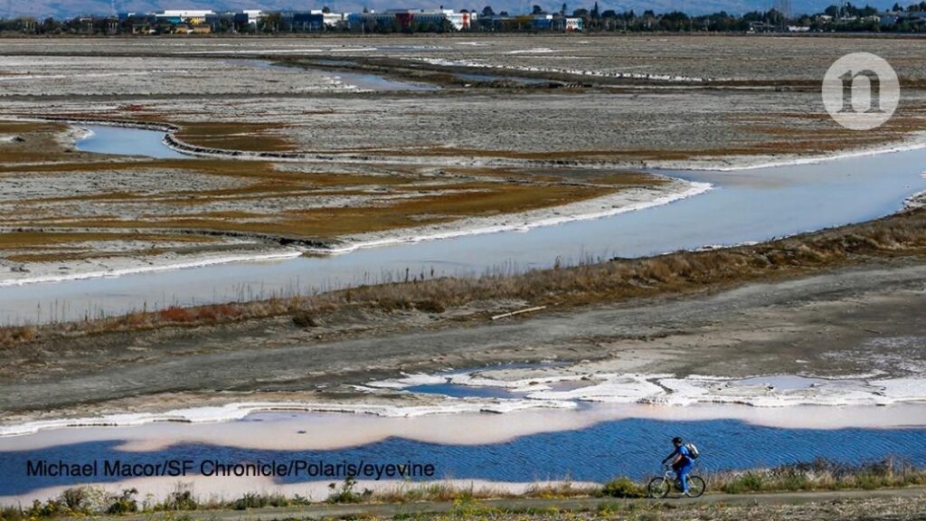 Seasonal erosion and accretion in a San Francisco Bay marsh – USGS (.gov)