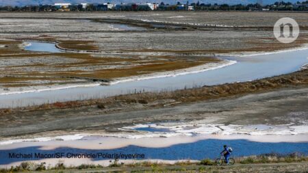 Seasonal erosion and accretion in a San Francisco Bay marsh – USGS (.gov)