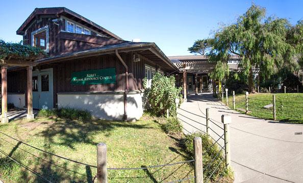 Transform the Crumbling San Francisco Zoo Into a Rescue Center! – IDA – In Defense of Animals