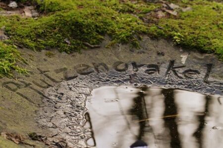 SF’s Oracle Park draws record crowd – but not for the team you think – SFGATE