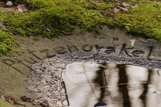 Oracle Park Sets New Attendance Record – and It’s Not for the Giants! SF’s Oracle Park draws record crowd – but not for the team you think – SFGATE