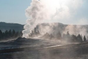 50 Nifty Finds #15: The Art of Politics – National Park Service (.gov)