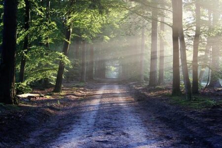 Your Ultimate Guide to Reaching US World Cup 2026 Events by Trail, Walking, Biking, and Public Transit How to Get to US World Cup 2026 Events by Trail, Walking, Biking and Public Transit – Rails to Trails Conservancy