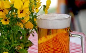 Makers of San Francisco’s famed Anchor Steam beer are going out of business – nbcnews.com